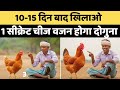 10 दिन की मुर्गी को खिलाएं यह Secret, वज़न होगा Rocket की Speed से Double! 🚀 | Poultry Farming