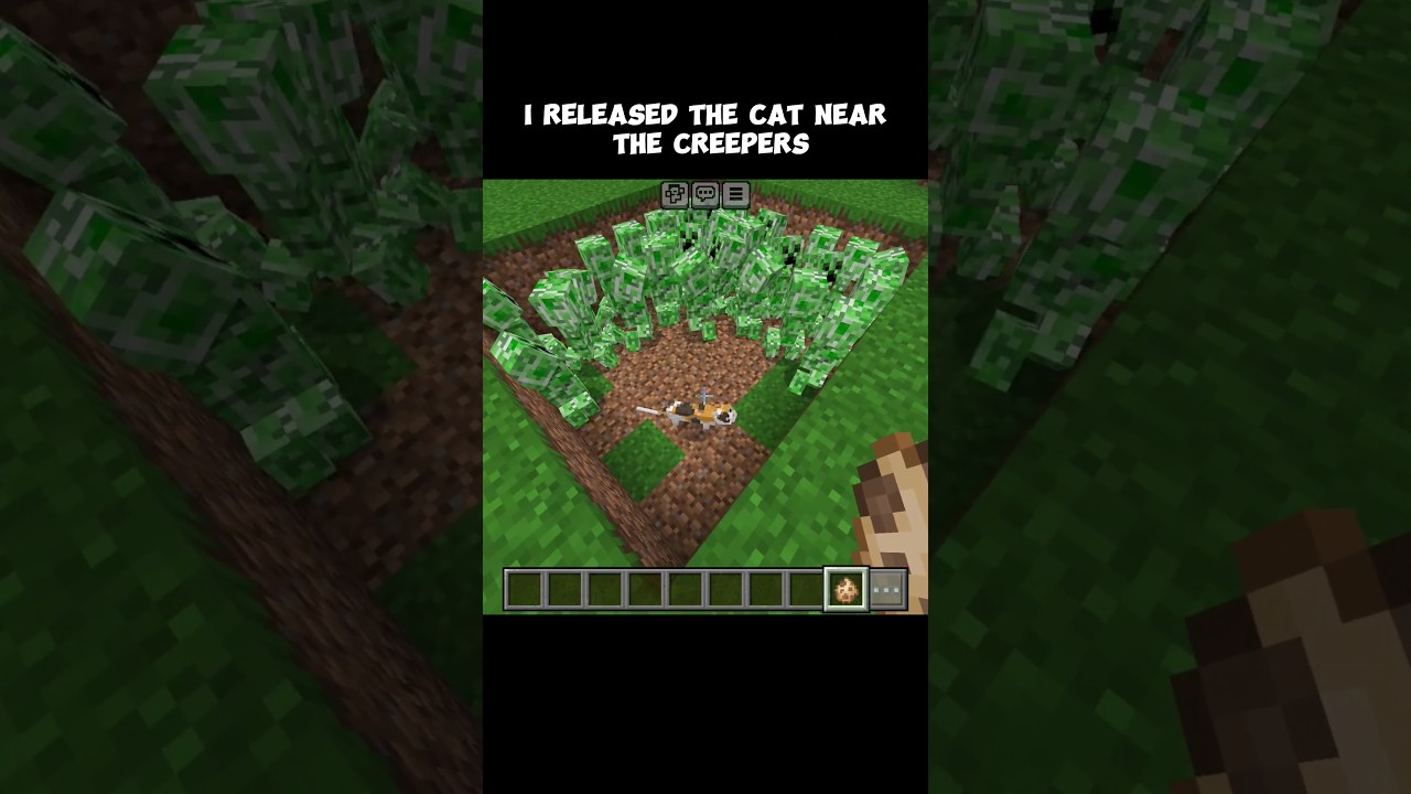 I released the cat near the creepers 