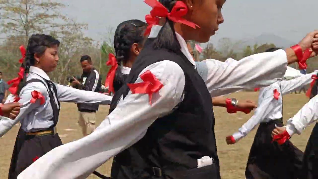 Marching of different contingents.