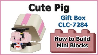How to Build Mini Blocks Gift Box Pig CLC-7284 Review Instructions Specifications