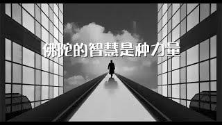 201312 佛陀的智慧是种力量30422