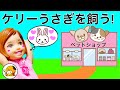 リカちゃん ペットショップにケリーが来る♪ トリマーが犬や猫をシャンプーしてカットしておしゃれに❤ わんにゃん おもちゃ ここなっちゃん