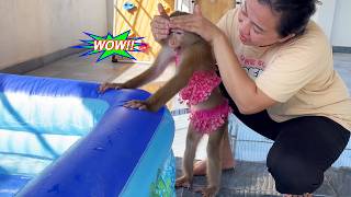 Monkey Lyly was overjoyed because her mother had brought a surprise on the rooftop.