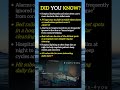 🏥 Hidden Hospital Facts You Never Knew!#facts
