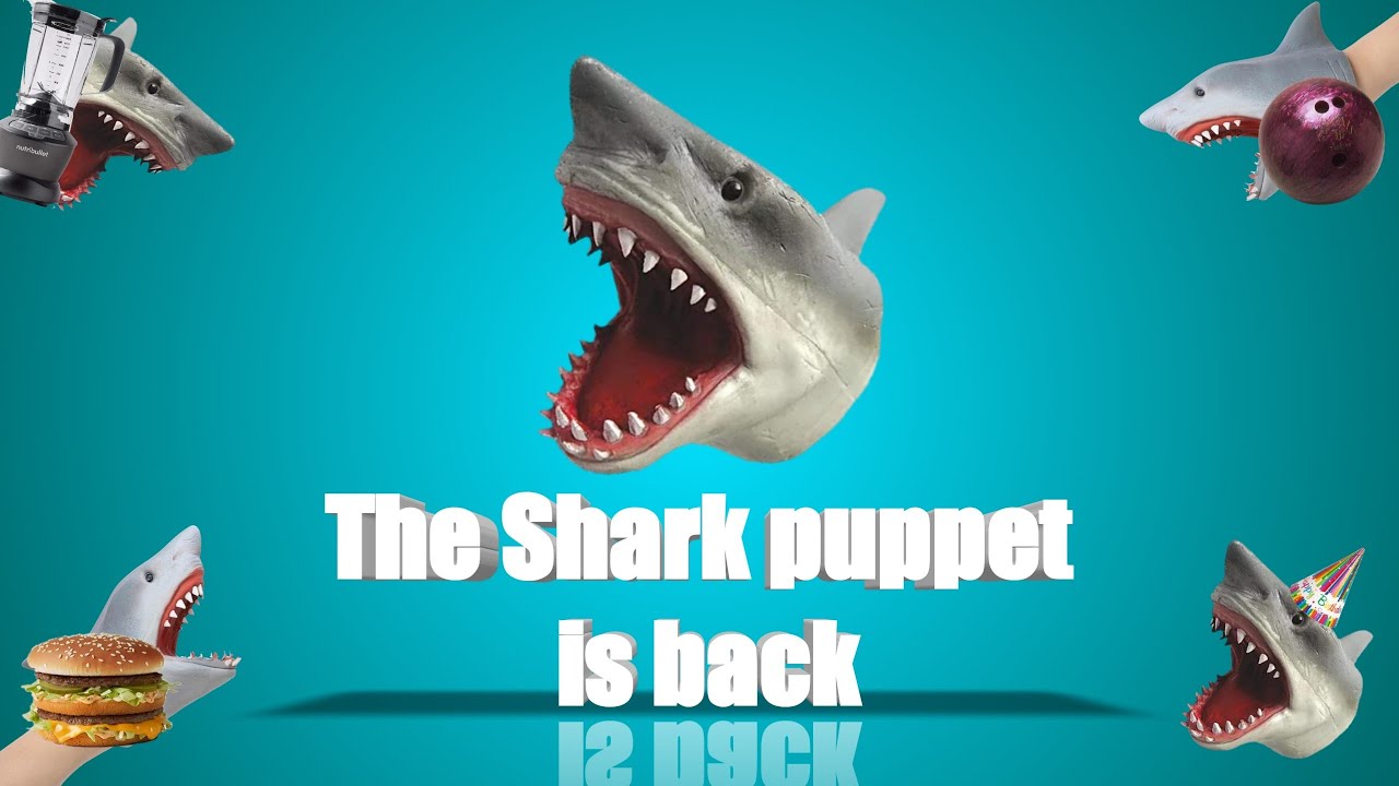 The Shark puppet is back 🤩🦈 - YouTube
