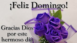 Video de buenos días con imágenes bonitas 🌸 Feliz Domingo bendiciones para todos