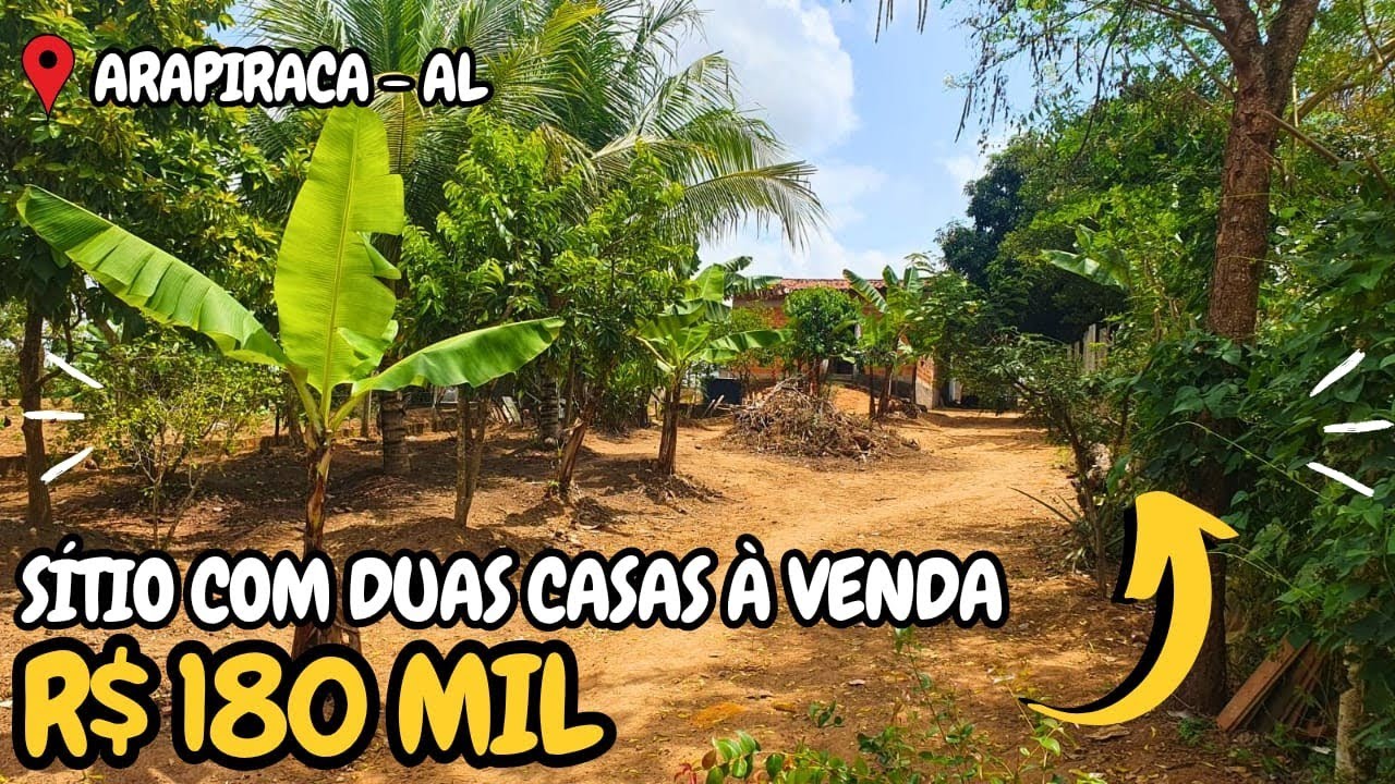 SÍTIO À VENDA ARAPIRACA ALAGOAS 