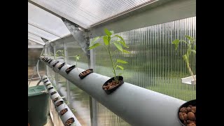 Starting with hydroponics/ PVC system build + seedling start!