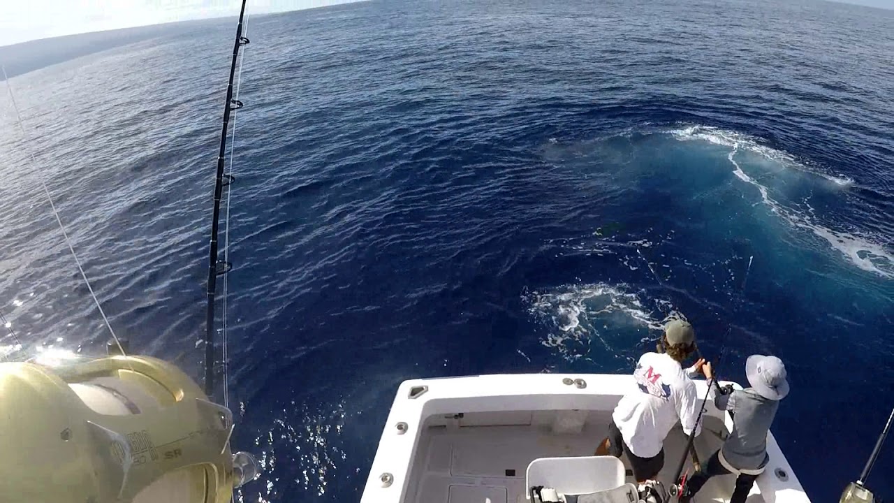 Hula Girl Sport Fishing Charters in Kona Hawaii YouTube