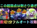 【ドラクエウォーク】この超弱点は刺さりすぎ!!!　最短1分フルオートで超簡単に!!!　ほこらごくらくちょう攻略　極楽鳥【6周年】