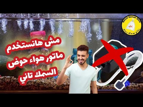 حوض سمك زينه بدون ماتور هواء