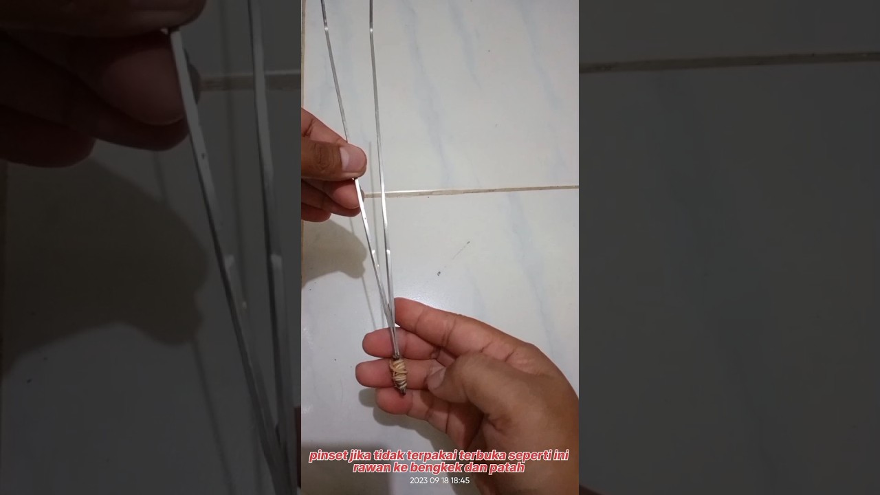 Membuat Tutup Pinset Dan Gunting Aquascape