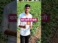 💧 कम पानी में खेती कैसे होती है? जानिए ये तरीका #shorts