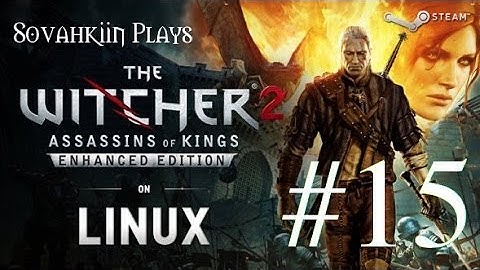 Sovahkiin Plays on Linux: Witcher 2 - Episode 15