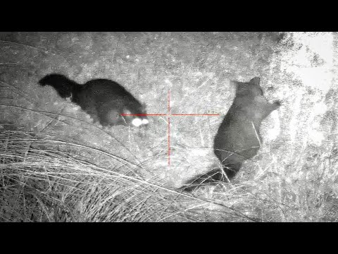 EPIC shootings: Over