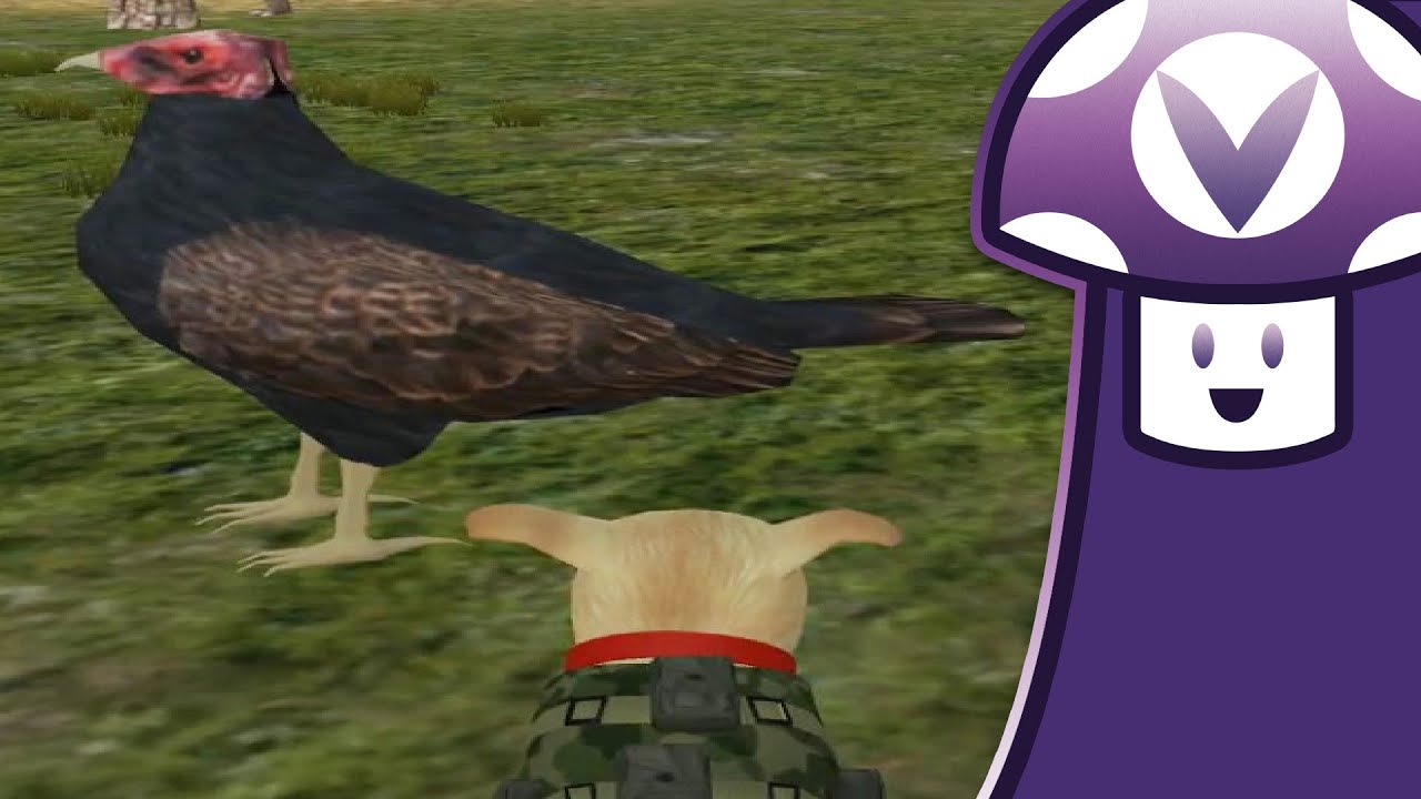 [Vinesauce] Vinny Sunday Streams may negatively affect your health