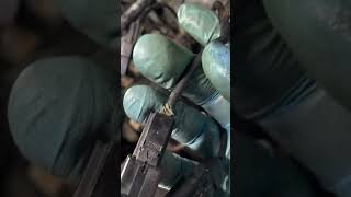 2001 Toyota Avalon — Blend Door Actuator, Ground Wire, Engine Cover | All Junkyard Parts Installed