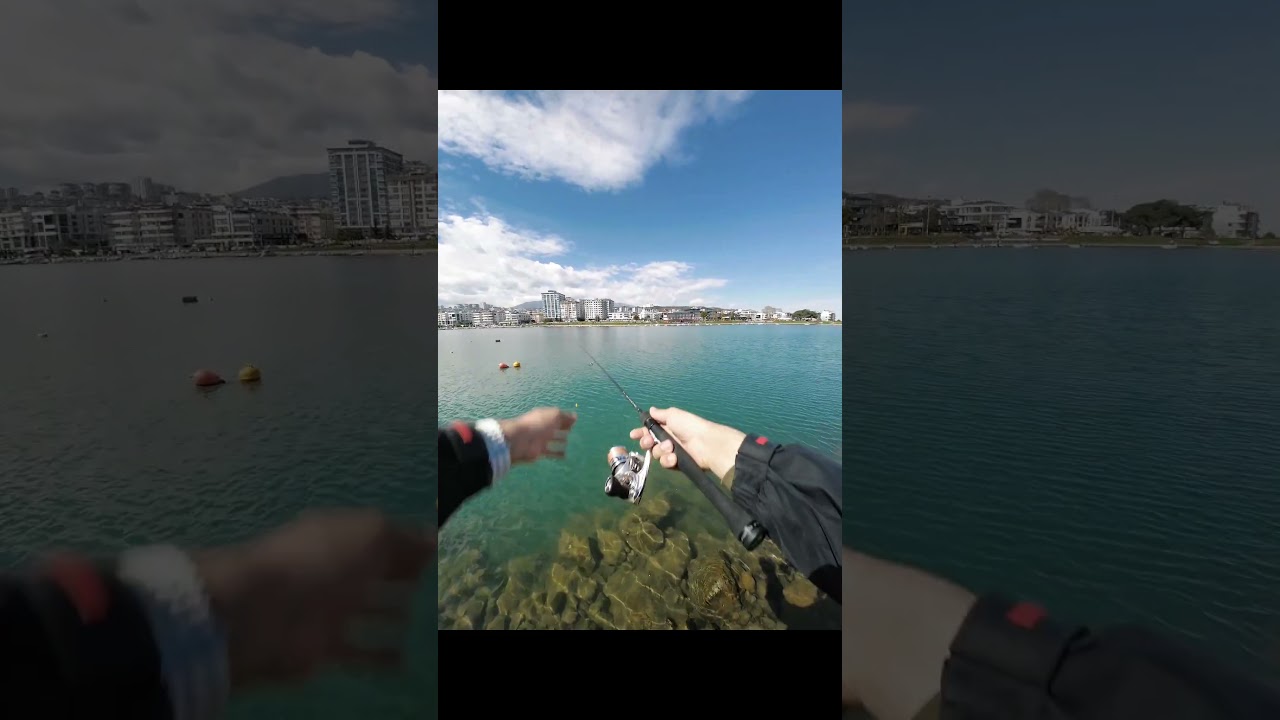 ŞEHİRİN ORTASINDA ZARGANA YAKALAMAKTAN SIKILDIK SOMON DENİYORUZ.#like #fish #shorts #shortvideo#love