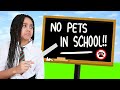 NO PETS ALLOWED IN ADOPT ME SCHOOL!!