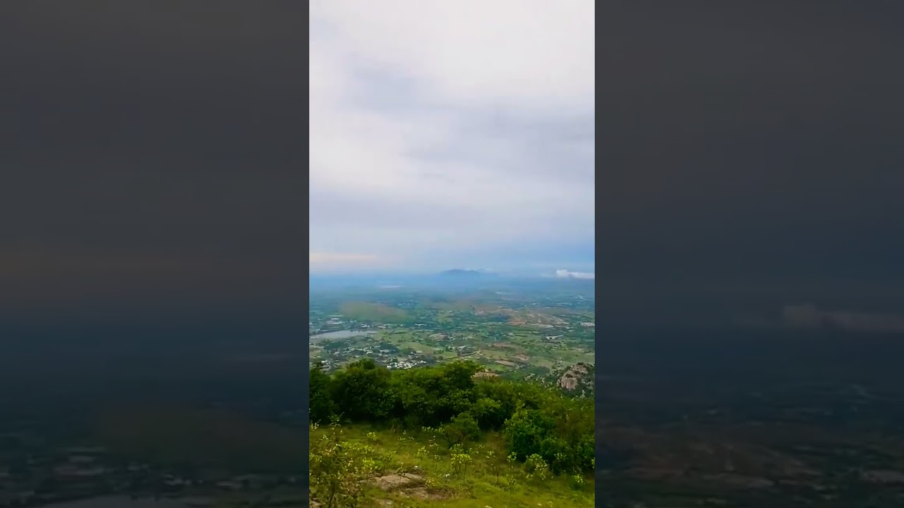 Pleasant and Peaceful Scenario of Greenery Everywhere New Video