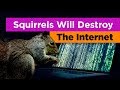 Squirrel Impact on Infrastructure