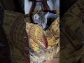 Little Face the kitten hiding in a bag