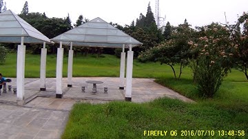 FIREFLY Q6 daily practice