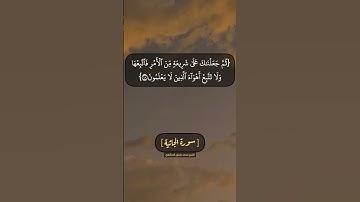 سورة الجاثية الآية ١٨ الى ٢٠ بصوت الشيخ محمد صديق المنشاوي