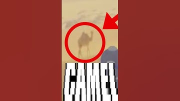 FUNNY MIC BREAKING NEWS #funny #contentwarning