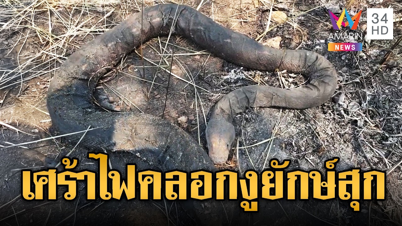 ชาวบ้านเขมร โผล่ดูงูตายคากองไฟ | ข่าวอรุณอมรินทร์ | 25/02/69