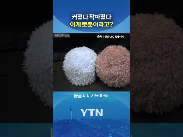 마리모 아닙니다 #shorts / YTN