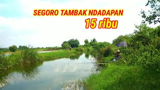 SPOT MUJAER, NILA, BADER//MANCING SEGORO TAMBAK NDADAPAN SIDOAJO