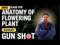 PLANT Respiration | Plant ANATOMY #L2 | BIOLOGY | Class 11th JKBOSE  #jammu #jammukashmir #education