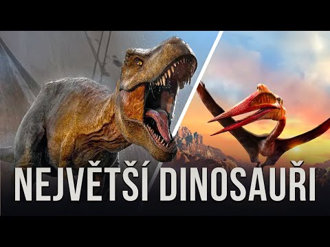 Video: Všechny druhy dinosaurů se jmény, jejich popis