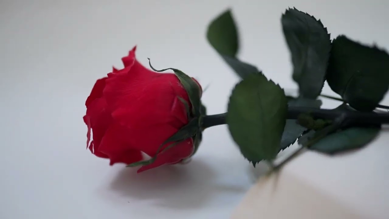 89 .Amelia   The beauty of the natural world.