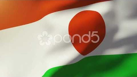 Niger Flag Waving In The Wind. Looping Sun Rises Style. Animation Loop