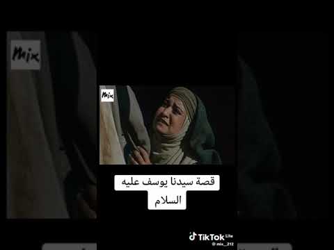 محمد سالم دار البركة 2