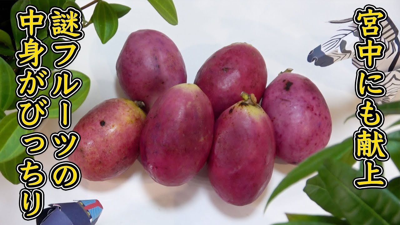 宮中にも献上｜謎フルーツの中身がアレでびっちりで食べるの大変