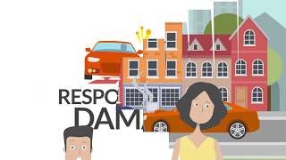 What Is Auto Reform