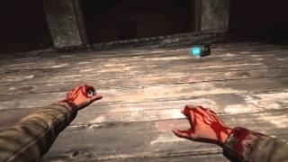 Outlast Radeon R5 M335 1980x1080p
