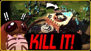 This Civ Just SURVIVES So Well! | Age of Empires 3: Definitive Edition