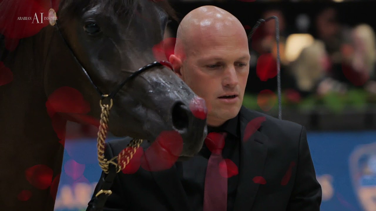 🌹 ERALDA 🌹 - 🥇Junior Fillies Class Winner (1B), Paris World Championship