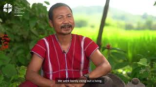 Rice cultivation using the System of Rice Intensification method in Kayin State, Myanmar