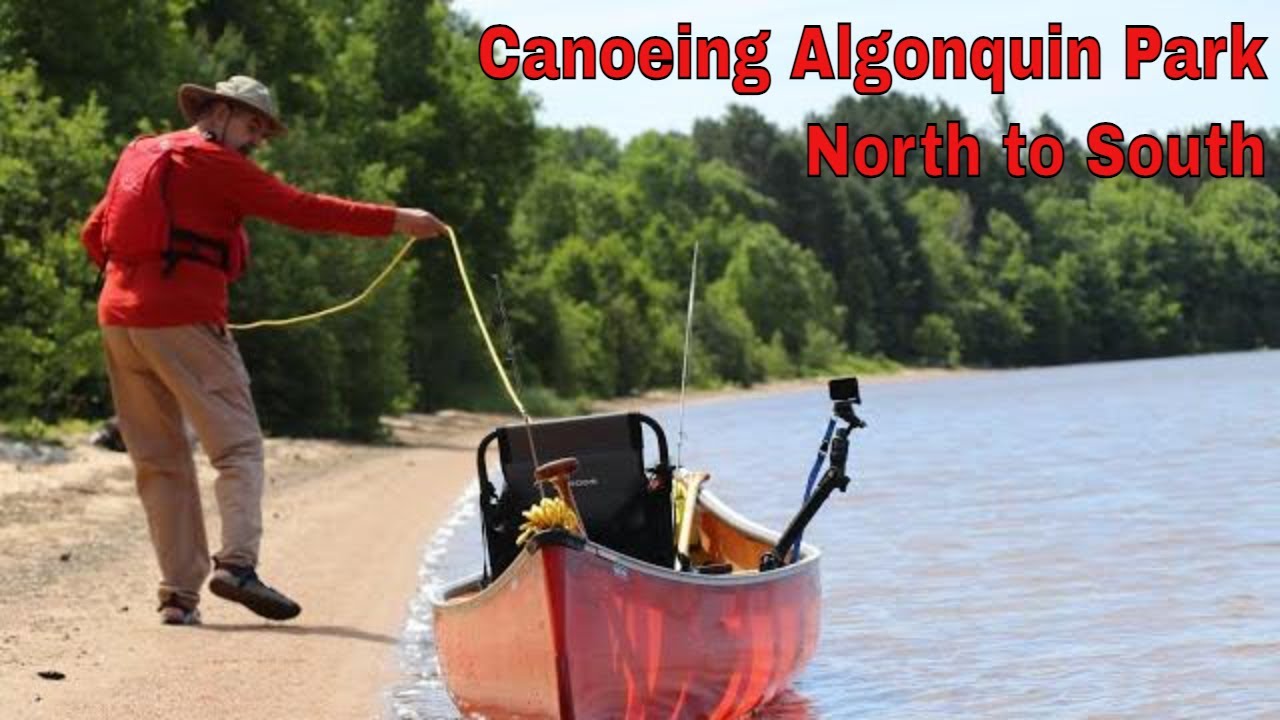 Adventurer Canoeing Algonquin Park Ontario's Crown Jewel From North