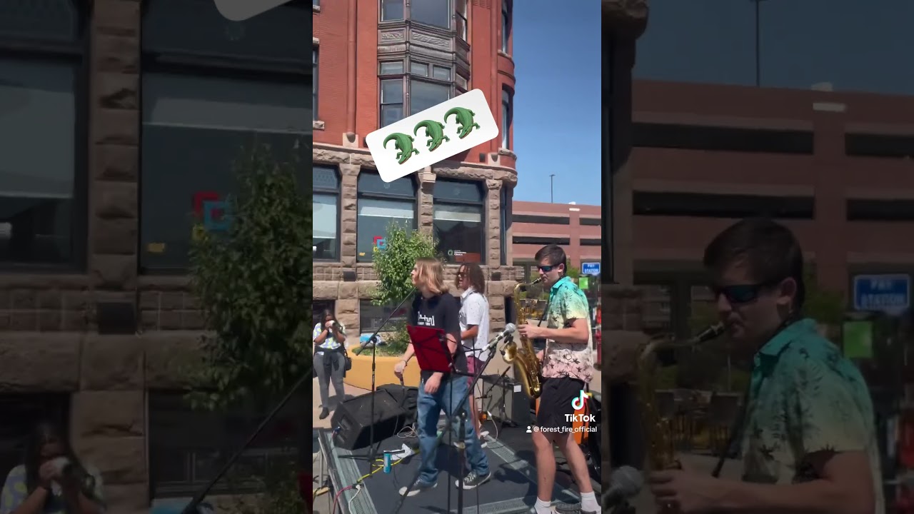 Alligator #music #band #guitar #live #forestfire #rock #original #minnesota #livemusic #alligator Alligator #music #band #guitar #live #forestfire #rock #original #minnesota #livemusic #alligator