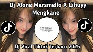 DJ ALONE MARSMELLO X CIHUYY SOUND FERI SOPAN VIRAL TIKTOK TERBARU 2025 !