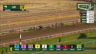 Vidéo de la course PMU PRIX JUAN DE MARCO