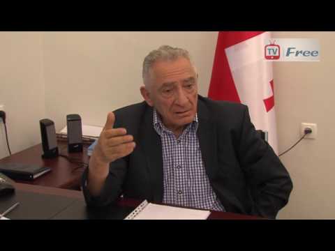 გოგი თოფაძე - ირაკლი ღარიბაშვილი აუცილებლად უნდა დაბრუნდეს პოლიტიკაში