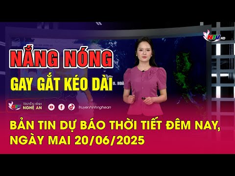 Bản tin Dự
