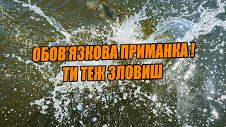 Я був в ШОЦІ як ця ПРИМАНКА ловить в спеку! Риболовний кемпінг на три дні!